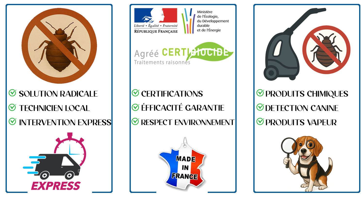 Punaises de Lit Maisons Alfort