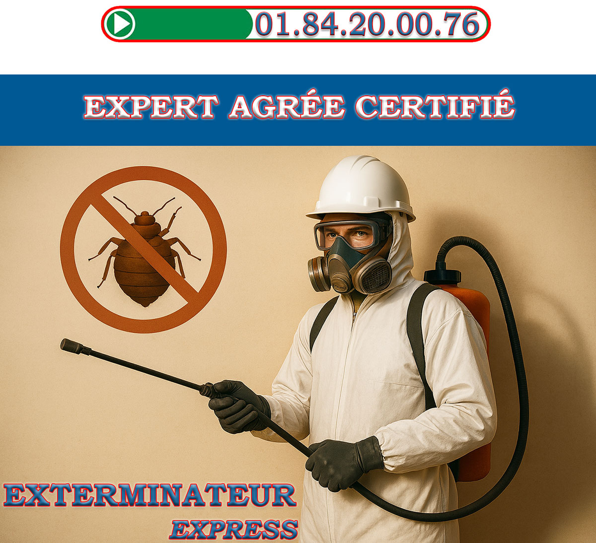 Punaises de Lit Maisons Alfort